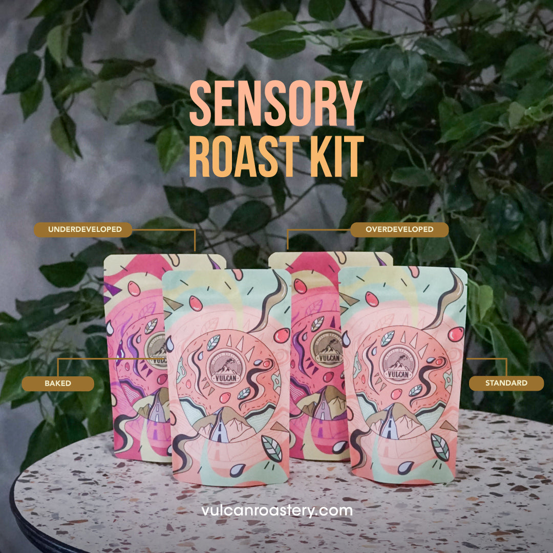 SENSORY ROAST KIT Vulcan Coffee Roastery