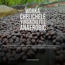 Load image into Gallery viewer, ETHIOPIA - WORKA CHELICHELE - NATURAL ANAEROBIC
