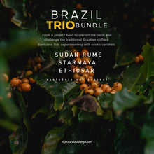 Load image into Gallery viewer, BRAZIL TRIO BUNDLE - SANTUÁRIO SUL
