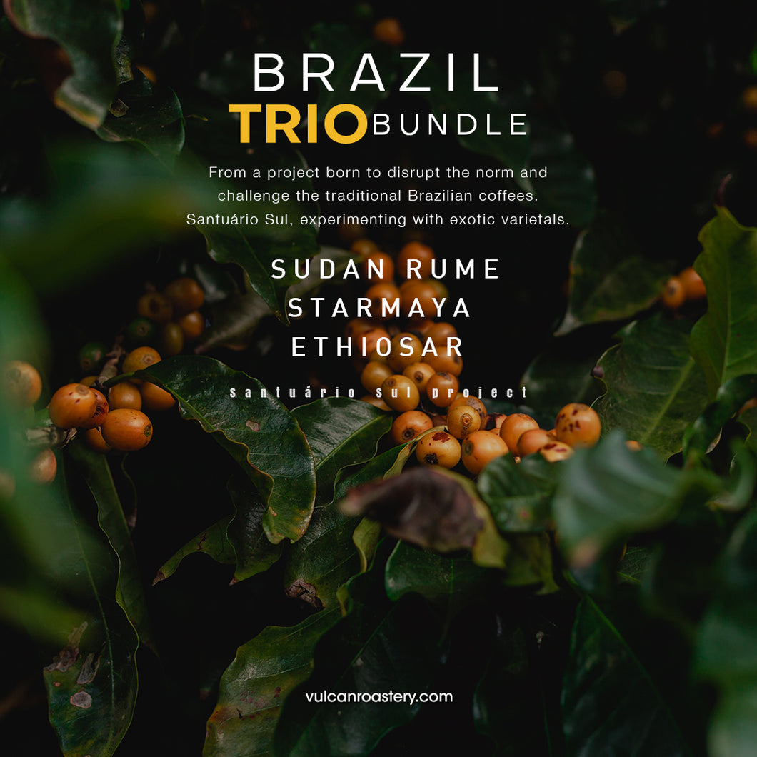 BRAZIL TRIO BUNDLE - SANTUÁRIO SUL