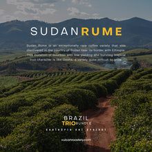 Load image into Gallery viewer, BRAZIL TRIO BUNDLE - SANTUÁRIO SUL
