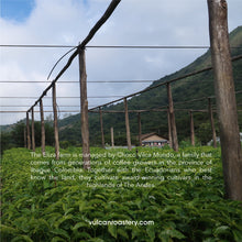 تحميل الصورة في عارض المعرض ،ECUADOR - ELIZA FARM - NATURAL ANAEROBIC
