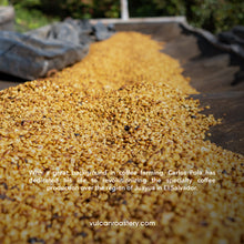 Load image into Gallery viewer, EL SALVADOR - FINCA LAS BRISAS - HONEY
