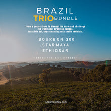 Load image into Gallery viewer, BRAZIL TRIO BUNDLE - SANTUARIO SUL
