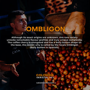 COLOMBIA - OMBLIGON - FINCA EL DIVISO