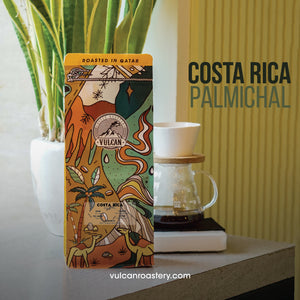 COSTA RICA - PALMICHAL - NATURAL