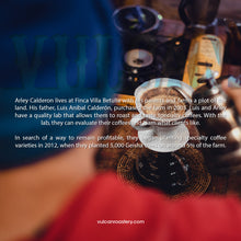 Load image into Gallery viewer, COLOMBIA - ARLEY CALDERON (HONEY PINK BOURBON)
