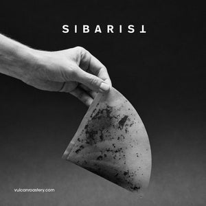 SIBARIST - CONE FAST SPECIALTY COFFEE FILTER